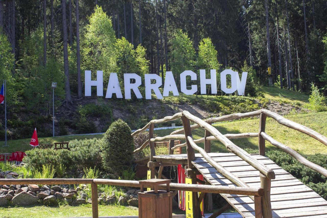 Enjoyharrachov - Atraktivni Slunny Klimatizovany Apartman 14 V Centru Harrachova Se Saunou, Parkovanim, Wifi-Wlan, Sat, Herni Konzoli, Pc S Win 10, Netflix Zdarma A Moznosti Dobijeni Auta S Jedinecnym Vyhledem Na Certovu Horu Se Skokanskymi Mustky Eksteriør billede